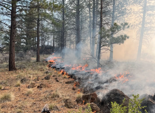 Forest Service fire crews conduct 20-acre prescribed burn SE of Sisters